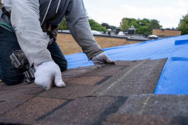 Best Roof Waterproofing Services  in Whitesburg, KY